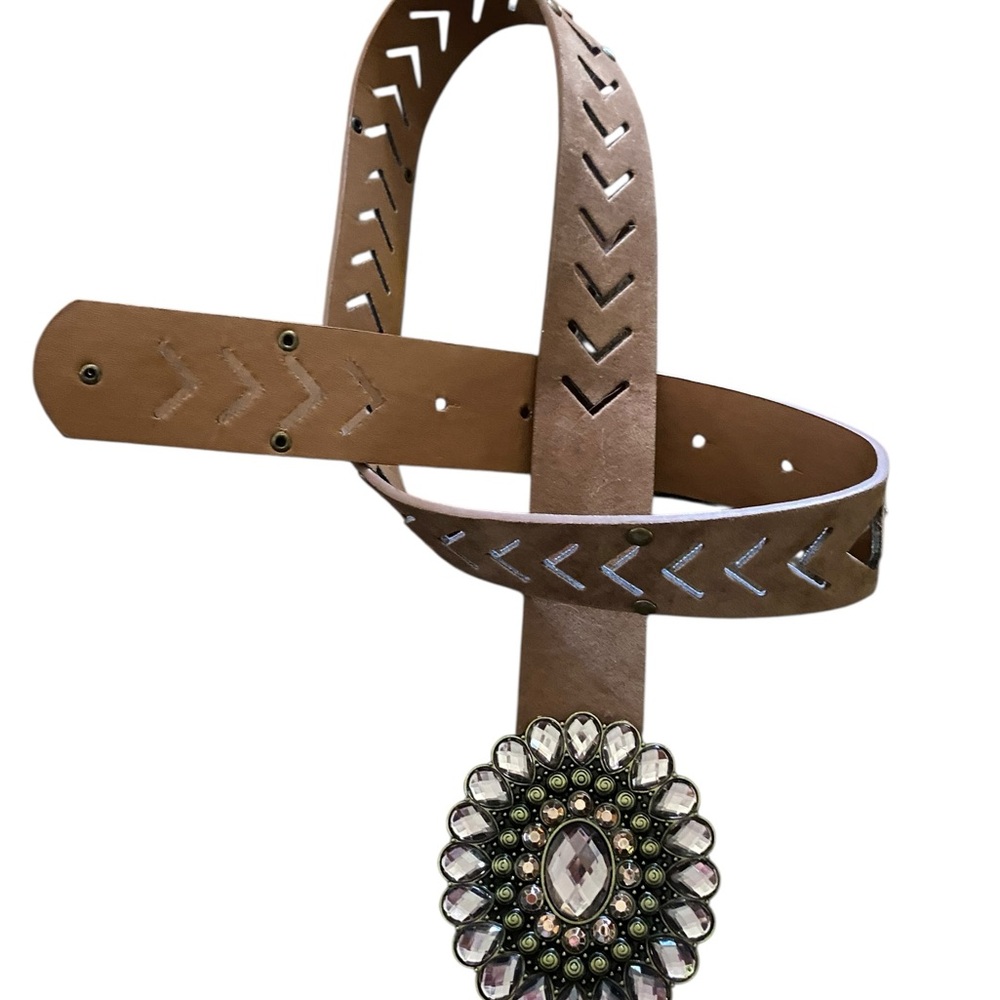 Brown Faux Suede Belt with Decorative Buckle